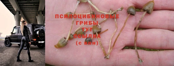 мдпв Нязепетровск